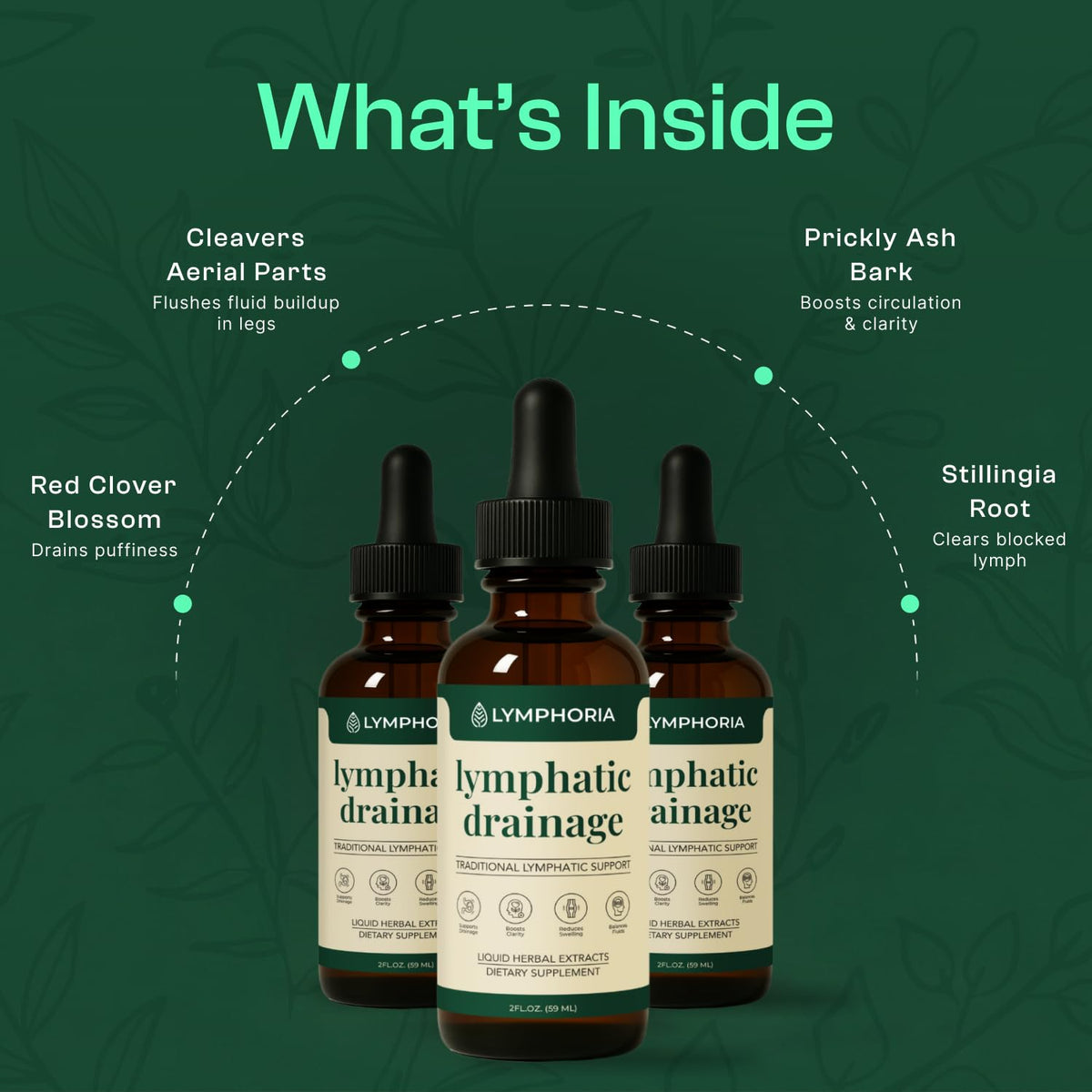 Lymphatic Drainage Drops for Bloat Relief & De-Puff – Cleavers, Red Clover, Stillingia Root & Prickly Ash Bark – Lymph Node Detox Cleanse, Fluid Retention, Alcohol-Free